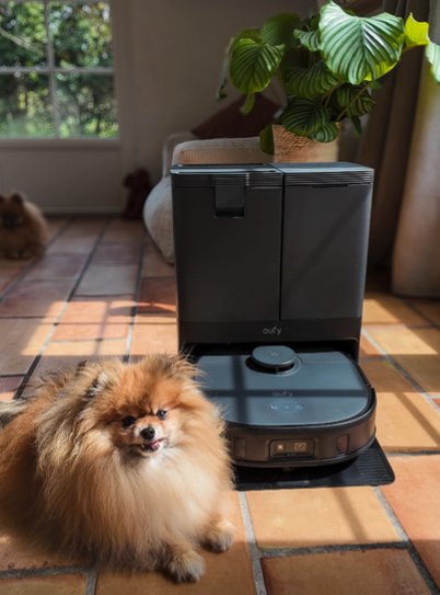 Aspirateur robot eufy avec sa station de vidage automatique