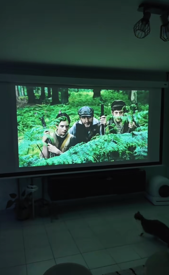 Mini vidéoprojecteur JMGO PicoFlix et son support